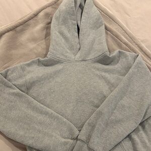 Gray Aritzia Hoodie